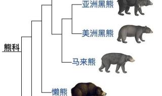 动物可以分为哪几种分类的依据是什么